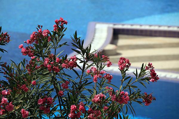 Les Amaryllis Hotel M'Bour Eksteriør billede